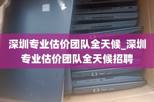 深圳专业估价团队全天候_深圳专业估价团队全天候招聘