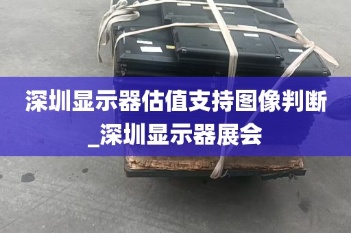 深圳显示器估值支持图像判断_深圳显示器展会