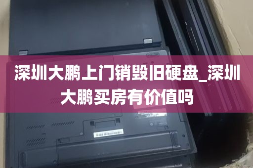 深圳大鹏上门销毁旧硬盘_深圳大鹏买房有价值吗