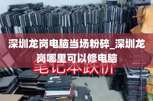 深圳龙岗电脑当场粉碎_深圳龙岗哪里可以修电脑